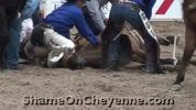 orse_Killed_at_2009_Cheyenne_Rodeo__Graphic_