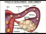 Embryology_Centuries_ago