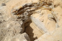 اكتشاف أثري يظهر وجود الانسان جنوب تونس قبل نحو 100 الف عام اكتشاف أثري يظهر وجود الانسان جنوب تونس قبل نحو 100 الف عام