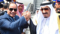 شكري يؤكد وجود خلاف بين بلاده والسعودية حول الأزمة السورية