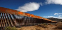 جدار ترامب يهدد الحياة البرية الغنية على طول الحدود الأمريكية