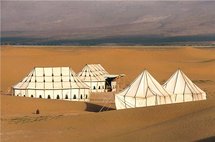 جينات البداوة تقود الخليجيين باتجاه الصحراء جينات البداوة تقود الخليجيين باتجاه الصحراء