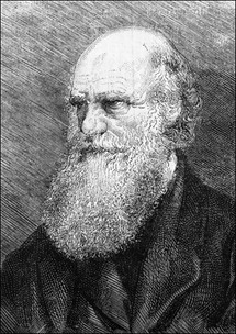 نظرية داروين تعود للواجهة في مئويته الثانية
