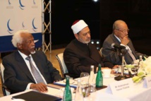 انطلاق الجولة الخامسة من الحوار بين حكماء الشرق والغرب بالقاهرة انطلاق الجولة الخامسة من الحوار بين حكماء الشرق والغرب بالقاهرة