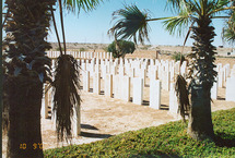 مسلمون في مقابر مسيحية ومهاجرون في قبور مجهولة الهوية في العاصمة الليبية 