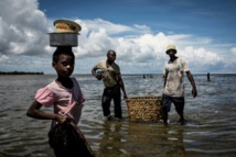 قرية حلمت ان تصبح رمزا في موزمبيق فتحول حلمها الى وهم قرية حلمت ان تصبح رمزا في موزمبيق فتحول حلمها الى وهم