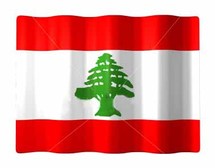 التحقيق  متواصل مع العميد اللبناني المتهم بالتجسس  لاسرائيل