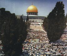 الحركة الاسلامية في القدس تعلن النفير العام ردا على تهديدات متطرفين يهود للأقصى الحركة الاسلامية في القدس تعلن النفير العام ردا على تهديدات متطرفين يهود للأقصى