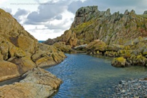 ثلث أكبر غابة في أيرلندا دمرت جراء الحرائق غير القانونية ثلث أكبر غابة في أيرلندا دمرت جراء الحرائق غير القانونية