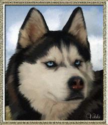 استنساخ كلاب تضيء في الظلام في كوريا الجنوبية  استنساخ كلاب تضيء في الظلام في كوريا الجنوبية