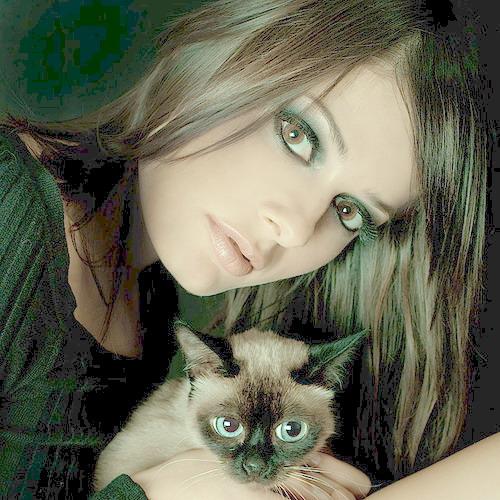 دراسة  كندية بالر نين المغناطيسي تثبت أهمية أحلام اليقظة للدماغ البشري   دراسة  كندية بالر نين المغناطيسي تثبت أهمية أحلام اليقظة للدماغ البشري