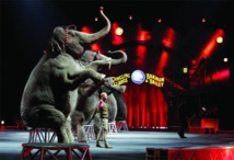 سيرك "رينجلينج بروس وبانوم آند بيلي" في امريكا يوقف عروضه سيرك "رينجلينج بروس وبانوم آند بيلي" في امريكا يوقف عروضه