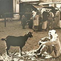 رجل يحرس عنزته على باب السوق الشعبي رجل يحرس عنزته على باب السوق الشعبي