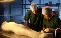 آثاريون مصريون يشككون في أبحاث أوروبية حول الحضاره المصرية آثاريون مصريون يشككون في أبحاث أوروبية حول الحضاره المصرية