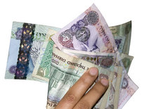 انشاء بنك للتنمية في الامارات براسمال 2,7 مليار دولار انشاء بنك للتنمية في الامارات براسمال 2,7 مليار دولار