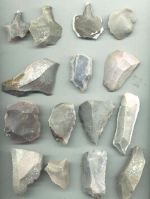 اكتشاف جمل عملاق وأدوات حجرية في سوريا تعود إلى 200 ألف عام قبل الميلاد اكتشاف جمل عملاق وأدوات حجرية في سوريا تعود إلى 200 ألف عام قبل الميلاد