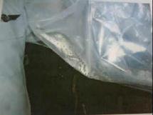 التمساح المختلف على جنسيته التمساح المختلف على جنسيته