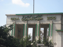 حديقة الحيوانات بالقاهرة حديقة الحيوانات بالقاهرة