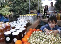 سوق بيروت الطيب ...مزروعات وأطعمة طبيعية توحد اللبنانيين المنقسمين سياسيا وطائفيا سوق بيروت الطيب ...مزروعات وأطعمة طبيعية توحد اللبنانيين المنقسمين سياسيا وطائفيا