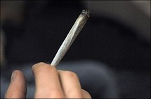 الأرجنتين تسمح بحيازة الماريجوانا للاستخدام الشخصي