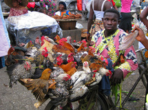 بائع الدجاج فى سوق