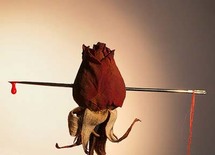 عمياء في هونغ كونغ سكبت عصيدة ساخنة على عضو زوجها عقوبة على خيانته عمياء في هونغ كونغ سكبت عصيدة ساخنة على عضو زوجها عقوبة على خيانته