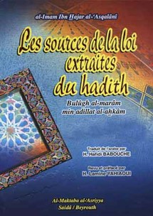 كتاب لا يحترم القواعد.... قدسية اللغة الفرنسية حجة بالية في زمن الرسائل الهاتفية القصيرة كتاب لا يحترم القواعد.... قدسية اللغة الفرنسية حجة بالية في زمن الرسائل الهاتفية القصيرة
