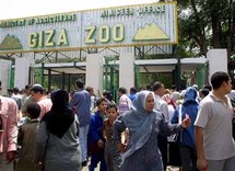 مصر تضم حديقة أسماك تعود لأسرة محمد علي إلى الآثار الاسلامية والقبطية مصر تضم حديقة أسماك تعود لأسرة محمد علي إلى الآثار الاسلامية والقبطية