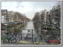 مشهد من الشارع الهولندي