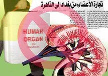 سوق رائجة لتجارة الأعضاء البشرية في مصر وسط غياب التشريعات الضابطة سوق رائجة لتجارة الأعضاء البشرية في مصر وسط غياب التشريعات الضابطة
