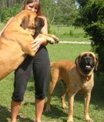مراهقة أميركية أجبرت على ممارسة الجنس مع الكلاب وعلى مشاهدة عملية أغتصاب شقيقها مراهقة أميركية أجبرت على ممارسة الجنس مع الكلاب وعلى مشاهدة عملية أغتصاب شقيقها