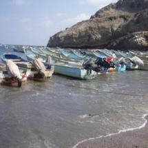 السلطات اليمنية تحقق في حادثة تهجم عسكريين إيرانيين على صيادين يمنيين في خليج عدن 