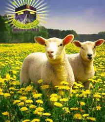 تبدو الصورة أكثر قتامة في قطاع غزة المحاصر أصلا