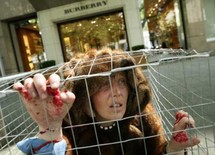 يهدف اليوم العالمي للرفق بالحيوان الى اعتماد شرعة لحماية حقوق الحيوان