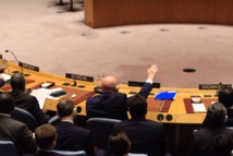 فيتو روسي ضد تجديد مهمة لجنة التحقيق في "كيماوي "سوريا فيتو روسي ضد تجديد مهمة لجنة التحقيق في "كيماوي "سوريا