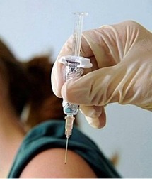 مرض انفلونزا الخنازير ظهر للمرة الاولى في المكسيك