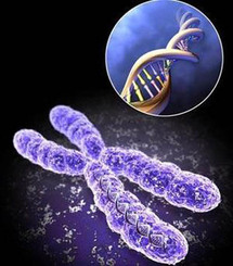 ثورة في مجال الطب البيولوجي