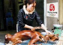 تناول لحوم الكلاب في محافظة بي الصينية يعود إلى أكثر من 2000 عام