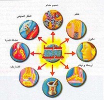 الخلايا الجذعية الخلايا الجذعية
