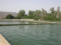 مزرعة أسماك