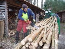 هاري ماير يقوم بتحضير حطب الوقود في القرية الالمانية الصديقة للبيئة