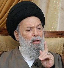 العلامة محمد حسين فضل الله العلامة محمد حسين فضل الله
