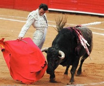 كتالونيا عازمة على منع مصارعة الثيران لتصبح بذلك اول منطقة اسبانية تفعل ذلك بعد جزر الكناري