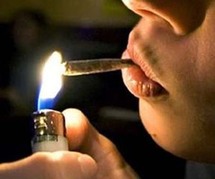 أكد مصدر امني ندرة الحشيش في الاسواق