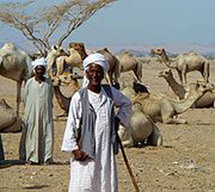 يهاجر البدو العرب عادة الى جنوب السودان بحثا عن المرعى والماء