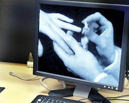 أصبحت الشبكة العنكبوتية اليوم احدى الأساليب التي تجذب الشباب العراقي للتعارف