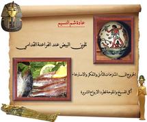 عادة عمرها خمسة الاف سنة ...شم النسيم في مصر بلا "فسيخ" وتحذيرات صحية من أضراره