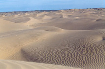 السعودية تعثر على ألماني وزوجته بعد يومين من اختفائهما في الصحراء