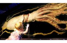 بقايا حبار عملاق