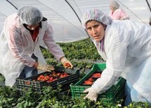 المرأة المغربية العاملة اقتحمت مختلف المهن